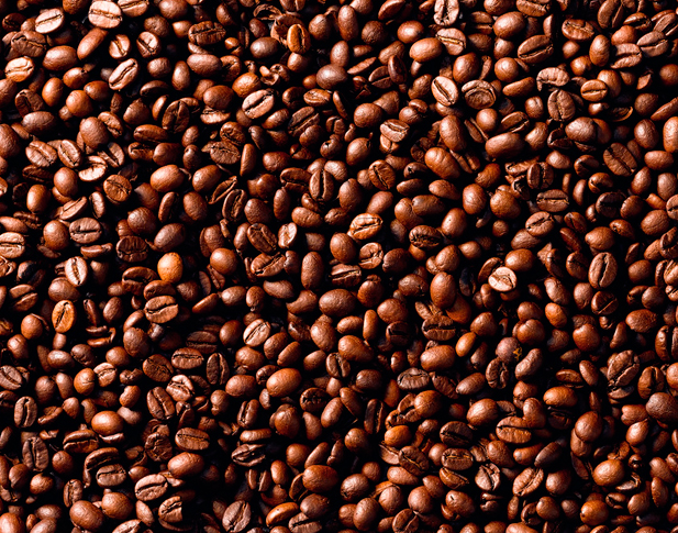 Robusta x Arábica – Diferenças dos tipos de Café mais consumidos no mundo.