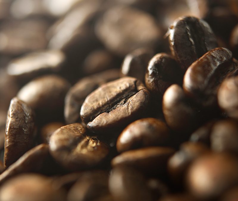 Curiosidades sobre o cultivo de Café